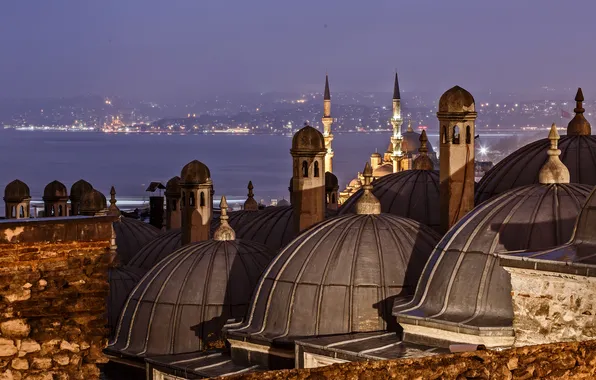 Night, lights, Strait, Cathedral, mosque, Istanbul, Turkey, the minaret