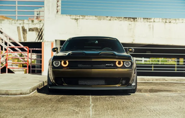 Picture Dodge, Challenger, SRT, HellCat