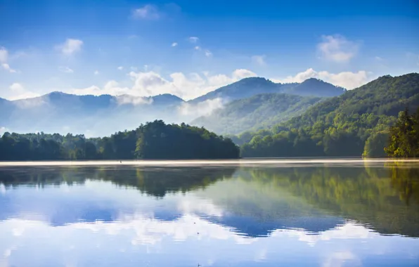 Picture forest, mountains, lake, reflection, morning