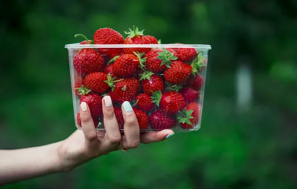 Picture hands, berries, strawberry