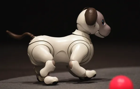 Face, the dark background, toy, the ball, mechanism, robot, dog, puppy