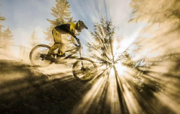 Picture bike, race, sport