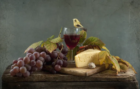 Picture wine, glass, cheese, grapes, shell, bird