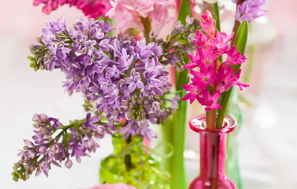 Picture flowers, lilac, hyacinths