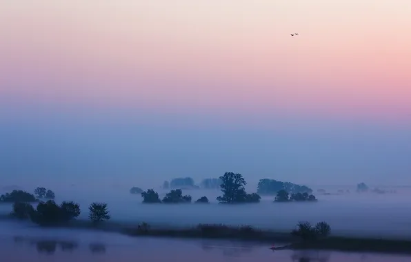 The sky, fog, river, morning