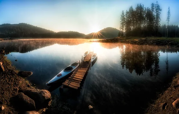 Forest, the sun, rays, trees, landscape, mountains, nature, lake