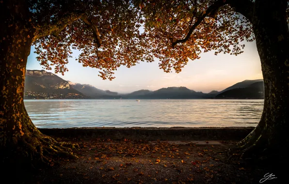 Picture autumn, trees, mountains, lake