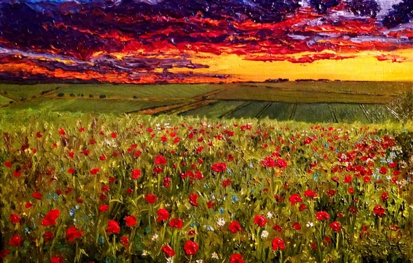 Picture oil, picture, canvas, artist O. Katz., &ampquot;the Evening sky over a poppy field&ampquot;
