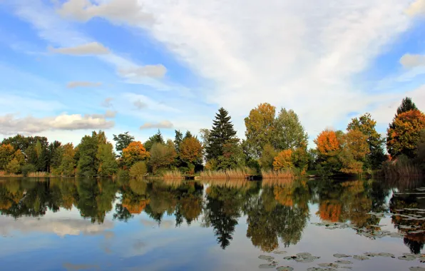 Picture autumn, the sky, clouds, trees, reflection, river