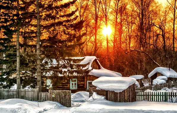 Picture winter, forest, the sun, snow, trees, sunset, house, the fence