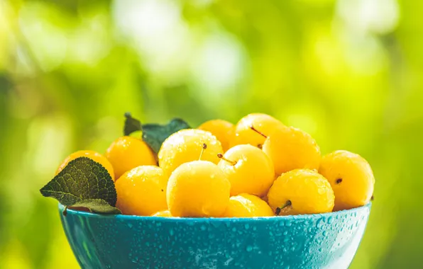 Leaves, drops, light, green, berries, background, yellow, bowl