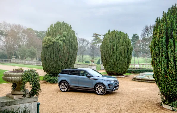 Auto, nature, Land Rover, Evoque, R-Dynamic