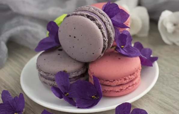 Flowers, cakes, violet, macaroon