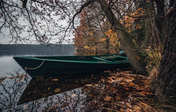 Picture lake, shore, boat