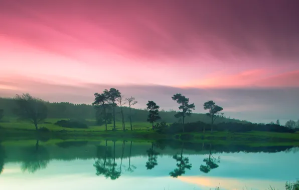 Picture the sky, nature, green, river, shore, pink