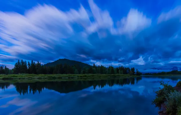 Picture forest, the sky, water, clouds, trees, nature, surface, reflection