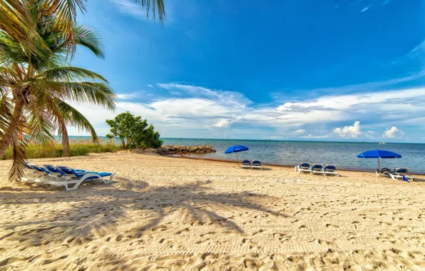 Sand, sea, beach, the sky, the sun, clouds, stones, palm trees
