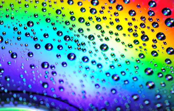Picture Rainbow, Abstraction, Droplets Of Water