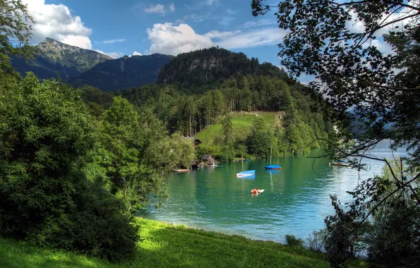 Forest, trees, mountains, lake, boat, Austria, house, wolfgangsee