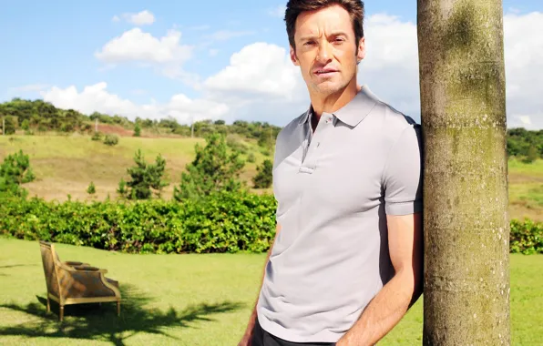 Background, tree, chair, actor, Hugh Jackman, Hugh Jackman