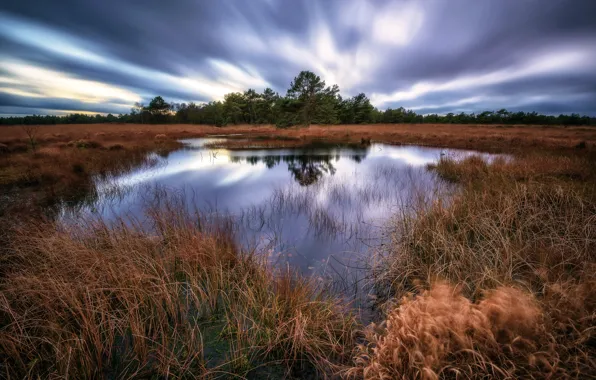 The sky, trees, lake