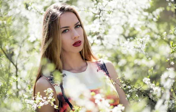 Picture look, makeup, sponge, flowering, spring