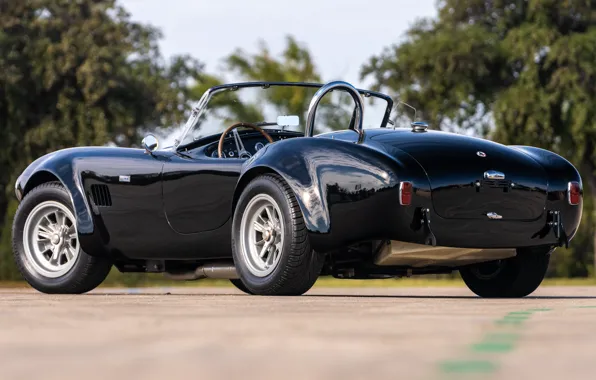 Picture Shelby, side view, rear view, 1965, the only instance, Cobra 289, black body, Shelby Cobra …