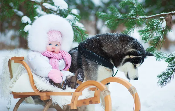 Trees, winter, snow, child, childhood, kid, kids