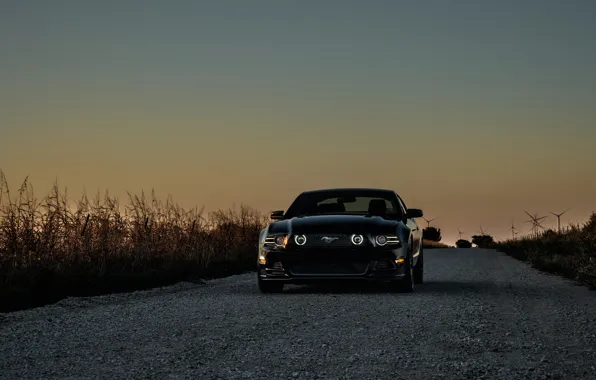 Picture mustang, Mustang, ford, black, Ford black, wind turbines