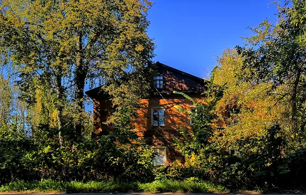 Autumn, the sky, trees, house, the building, Moscow, Russia, architecture