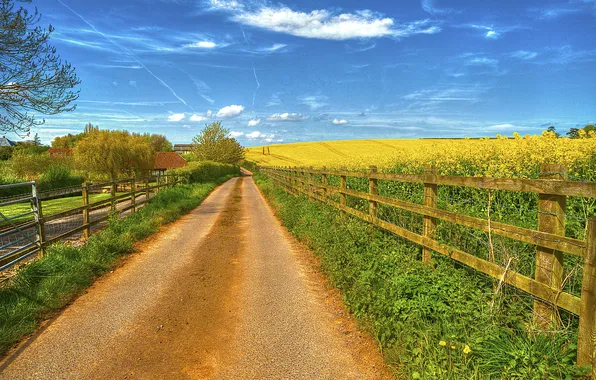 Road, greens, field, clouds, trees, blue, the fence, spring