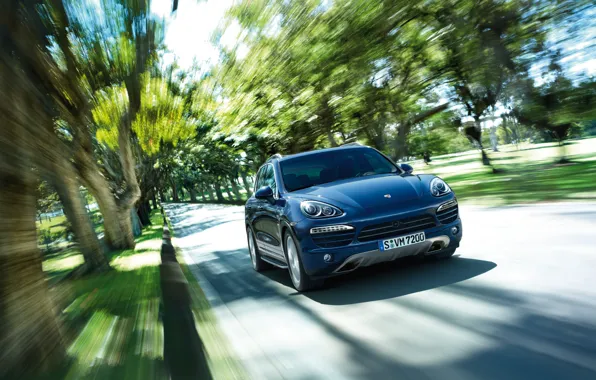 Picture speed, Porsche Cayenne, luxury