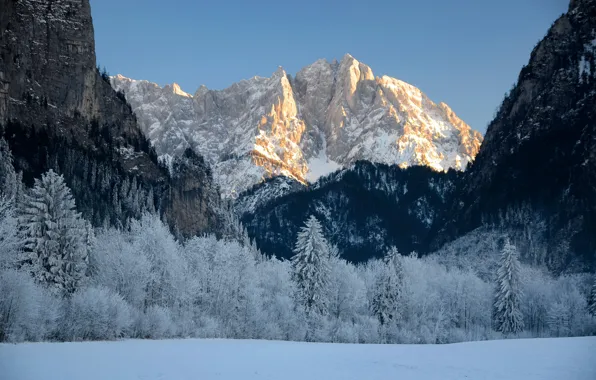 Winter, the sky, snow, trees, mountains, nature, rocks, Austria