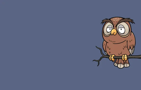 Owl, bird, minimalism, branch, owl