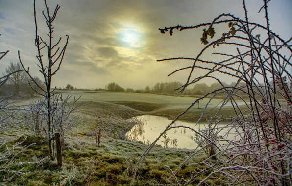 Picture winter, the sky, clouds, snow, glade, the bushes, pond