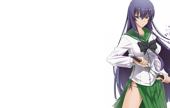 Boobs, Katana, Highschool of the Dead, Saeko Busujima