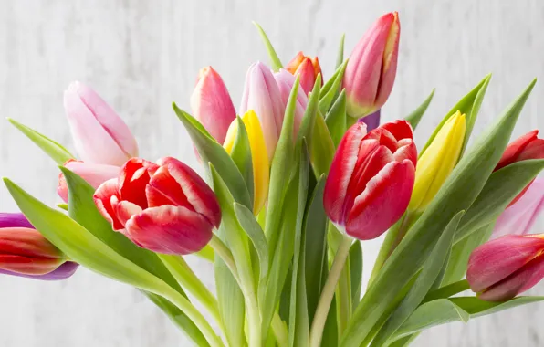 Flowers, bouquet, colorful, tulips, fresh, wood, flowers, beautiful