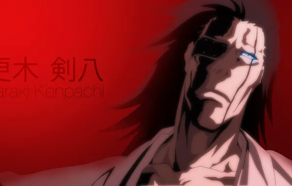 Game, Bleach, devil, long hair, eyes, anime, face, captain