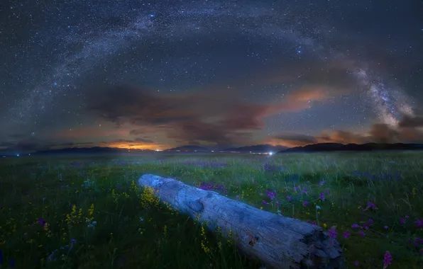 Field, the sky, stars, flowers, night, meadow, log, Milky Way