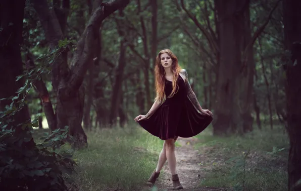 Wallpaper forest, girl, Julia Wendt, Andreas-Joachim Lins for mobile and  desktop, section девушки, resolution 4096x2627 - download