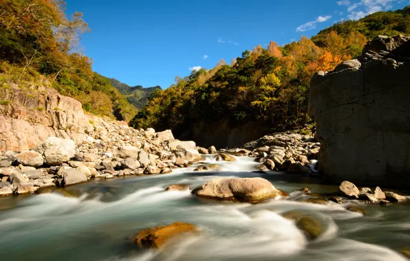 Picture forest, mountains, stones, stream, river