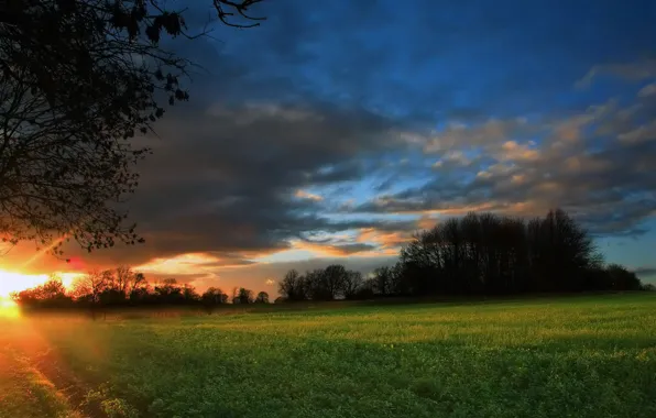 Field, forest, night, sunrise