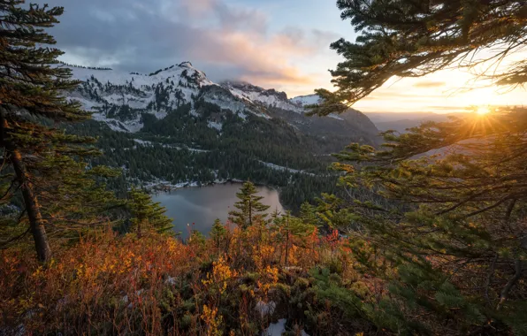 Picture lake, view, height, the sun, branches, autumn, forest