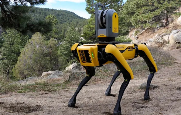 CAMERA, TECHNIQUE, ROBOT, OBSERVATION, Cloven-hoofed
