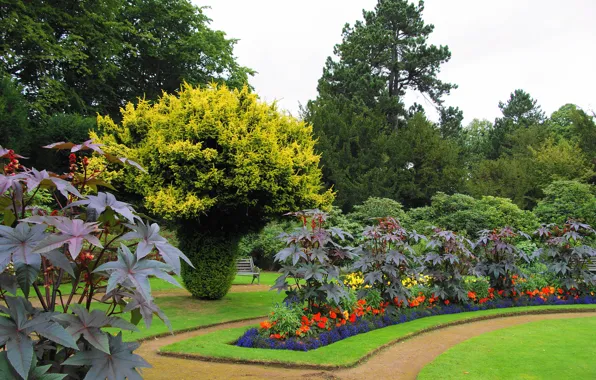 Greens, trees, flowers, design, lawn, track, garden, UK