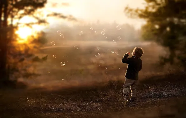 The sun, trees, nature, children, childhood, mood, Wallpaper, boy