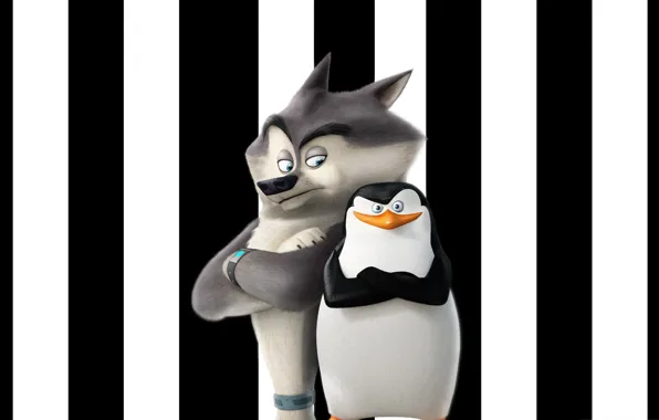 White, black, soldier, fox, bird, dog, feathers, cartoon