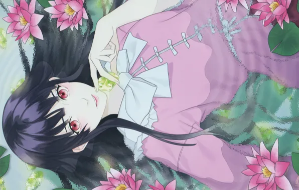 Look, water, Lotus, bow, red eyes, long hair, touhou, art