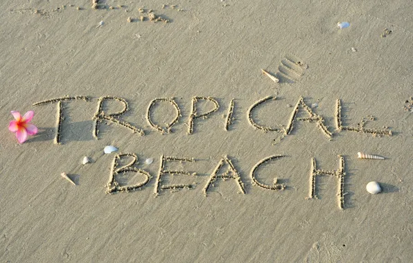 Picture sand, beach, beach, sand, tropical