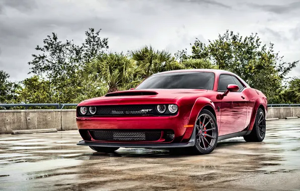 Wallpaper Dodge, Challenger, Demon, Dodge Challenger Demon images for ...